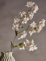 Myrtle Stem
