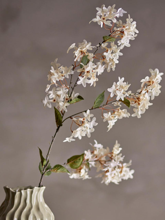 Myrtle Stem