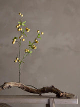 Hawthorn Branch