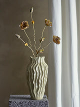 Poppy Stem
