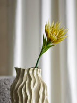 Lily Stem