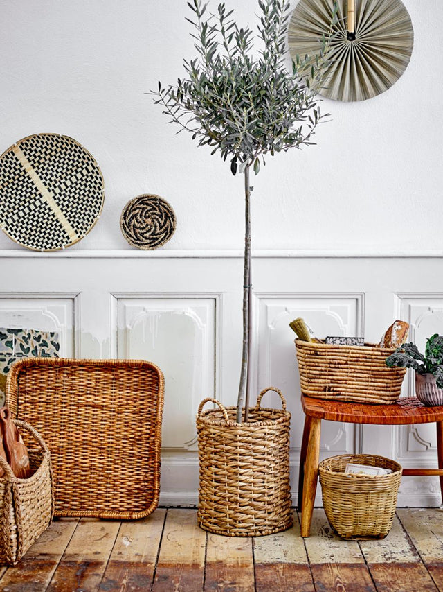 Selma Basket