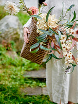 Hydrangea Stem