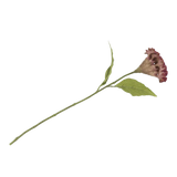 Celosia Spray Artificial Flower 62cm