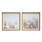 Painting Pampas Set of 2