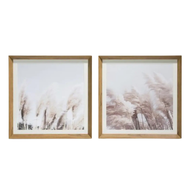 Painting Pampas Set of 2