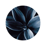 Circle Art Dark Plant