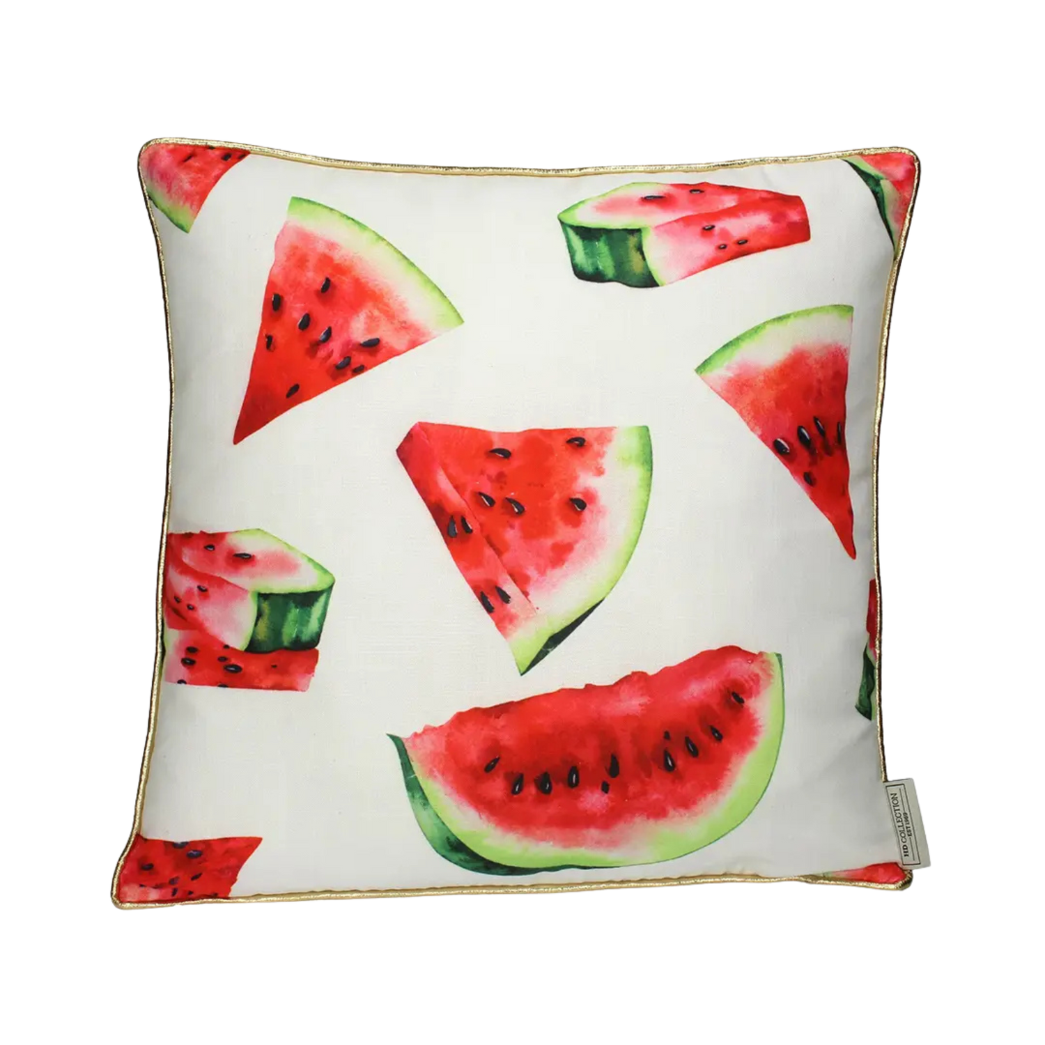 Cushion Watermelon Velvet