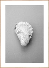 Oyster 2