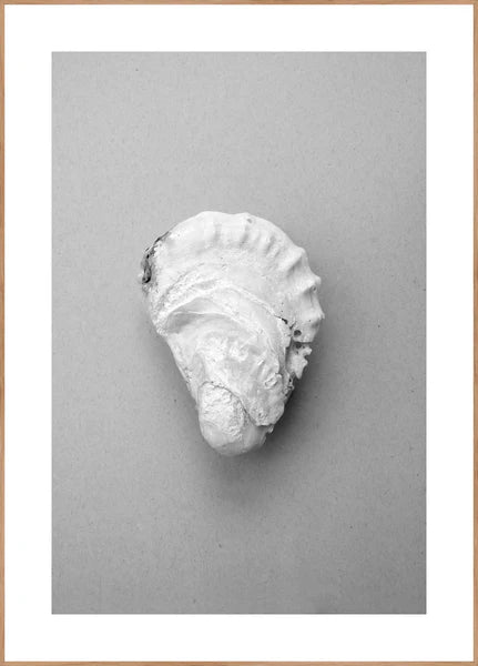 Oyster 2