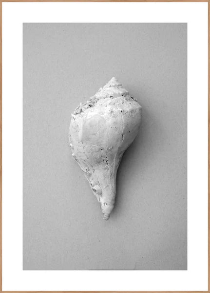 Shell