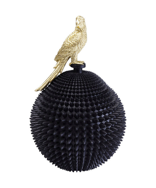 Deco Box Parrot