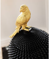 Deco Box Parrot