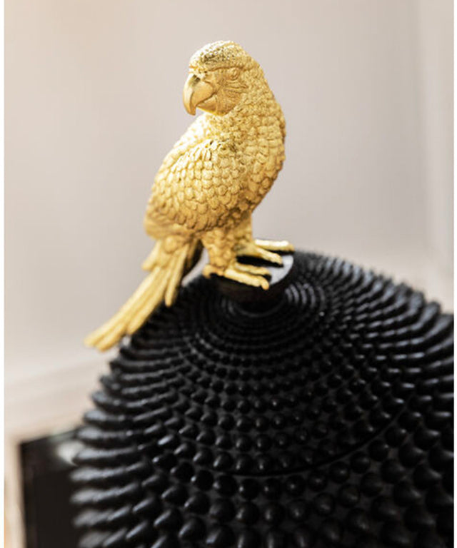 Deco Box Parrot