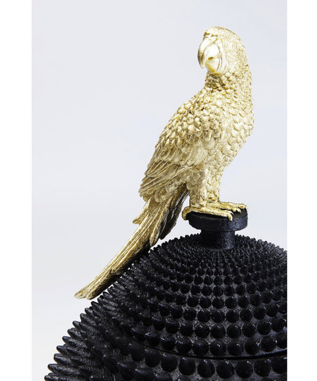 Deco Box Parrot